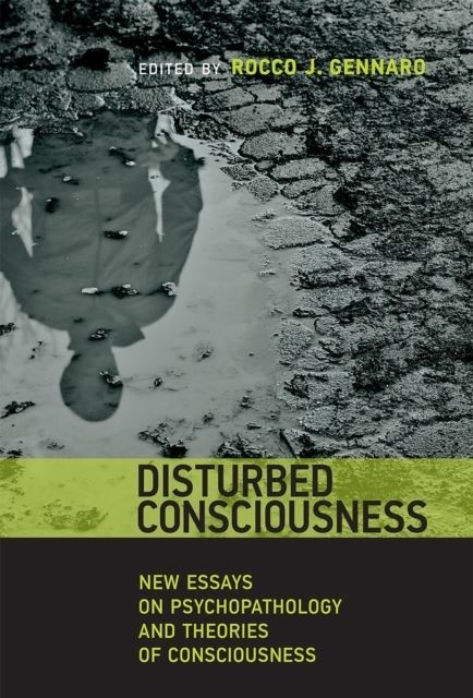 Disturbed Consciousness main product photo