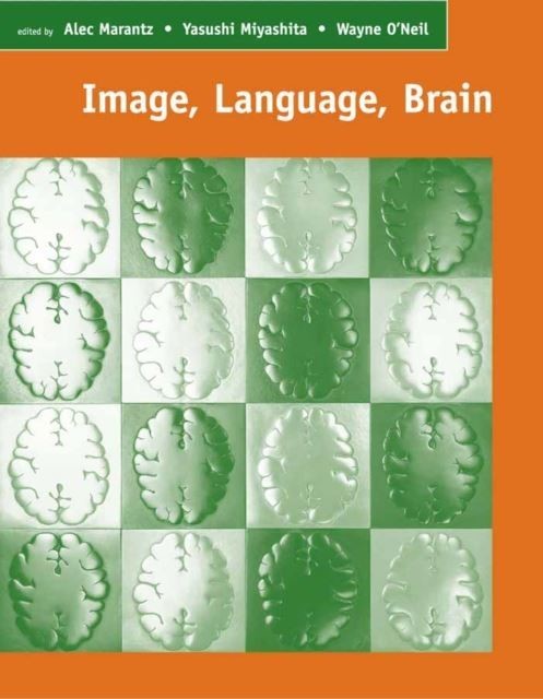 Image, Language, Brain main product photo