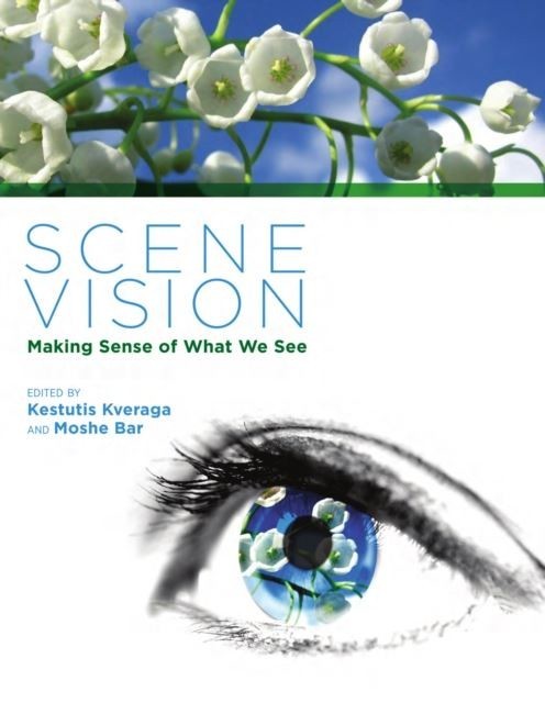 Scene Vision main product photo