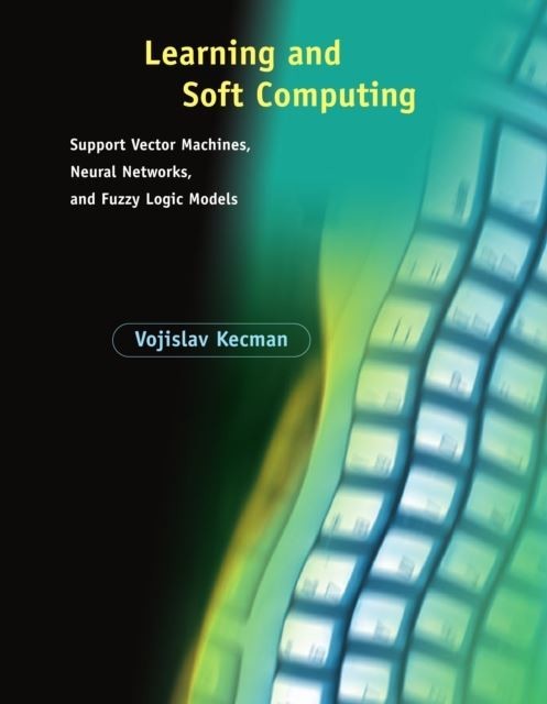 Learning and Soft Computing main product photo