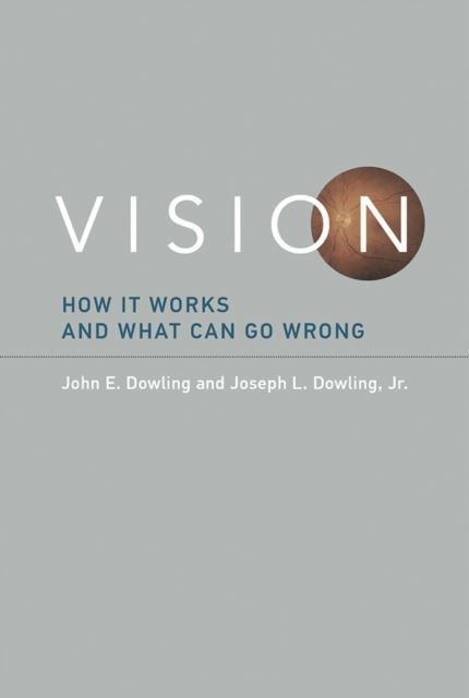 Vision main product photo