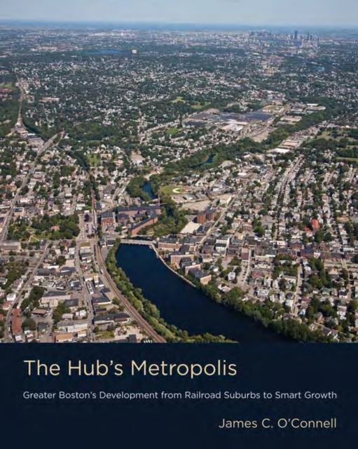 Hub's Metropolis main product photo