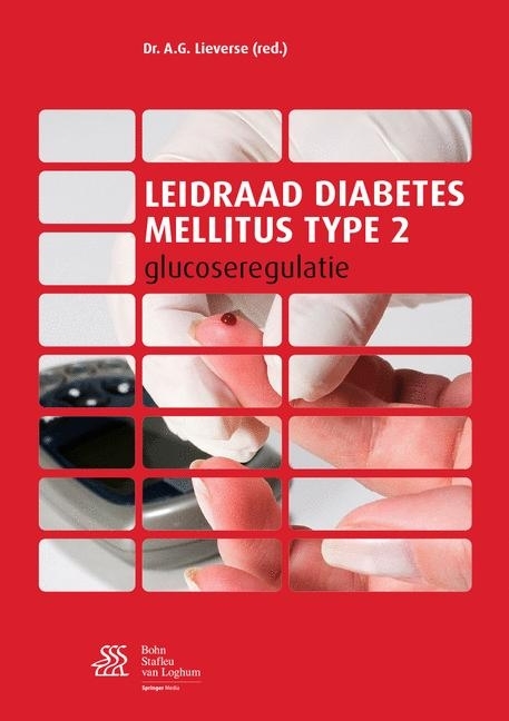 Leidraad diabetes mellitus type 2 main product photo