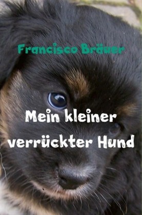 Mein kleiner verrückter Hund