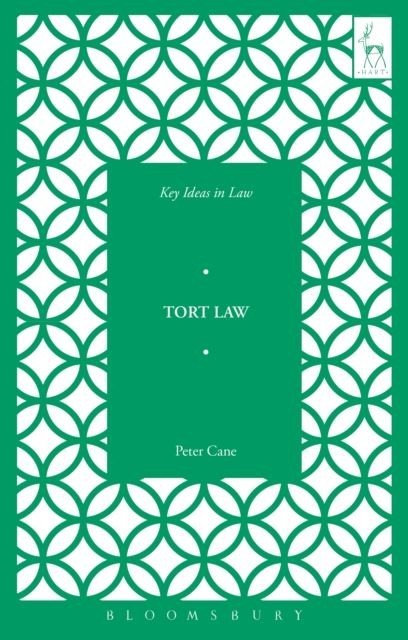 Key Ideas in Tort Law main product photo