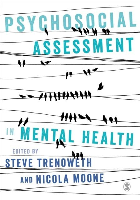 Psychosocial Assessment in Mental Health main product photo