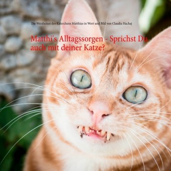 Matthi&apos;s Alltagssorgen - Sprichst Du auch mit deiner Katze?