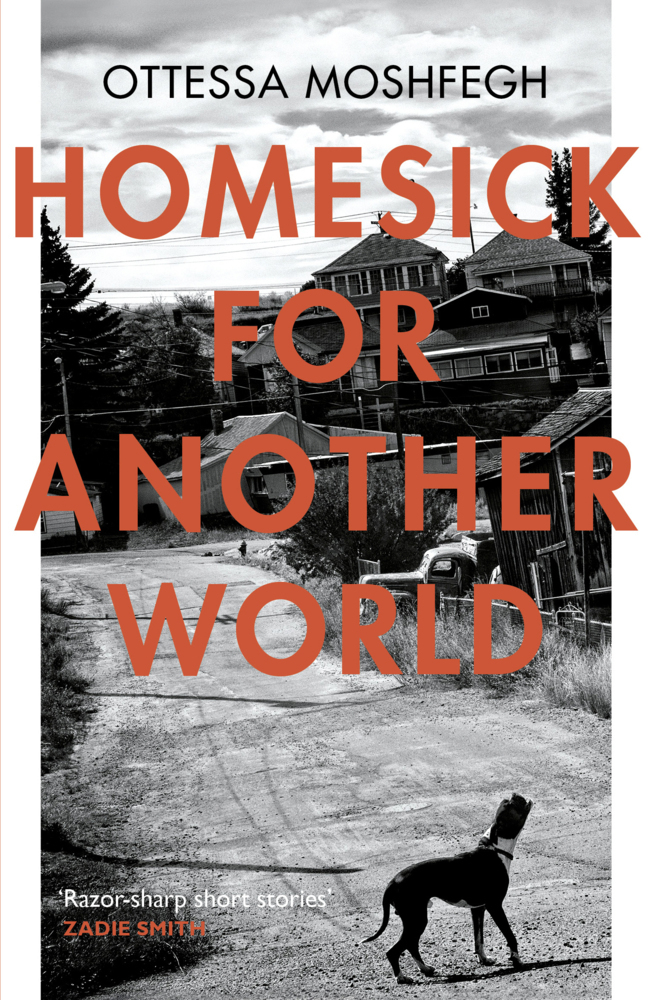 Homesick For Another World main product photo