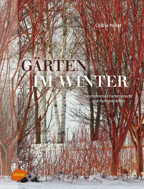 Gärten im Winter main product photo