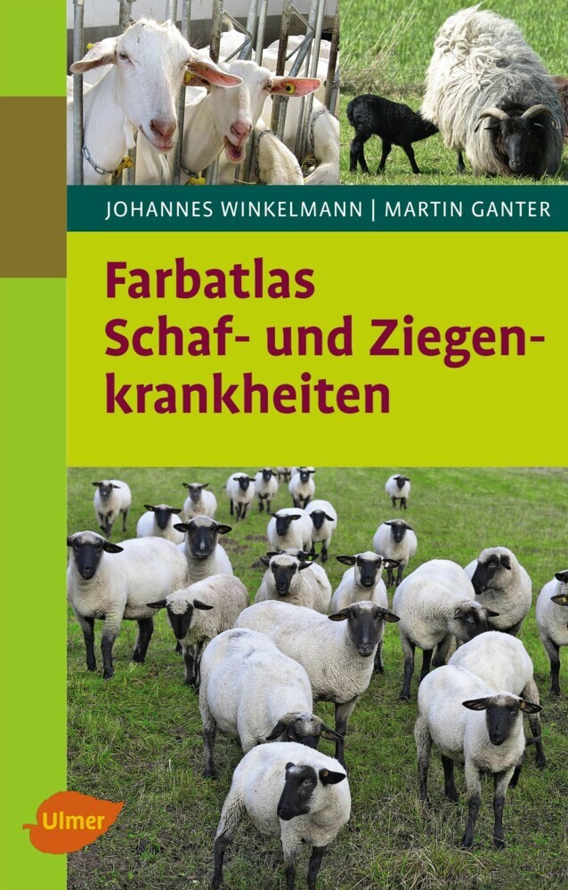 Schaf- und Ziegenkrankheiten main product photo