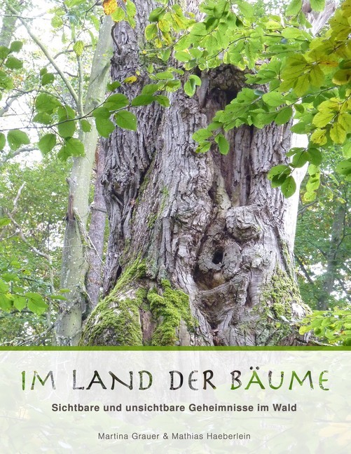 Im Land der Bäume main product photo