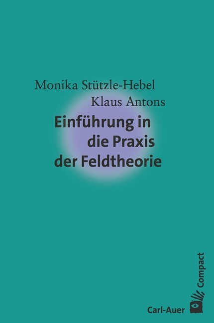 Einführung in die Praxis der Feldtheorie main product photo