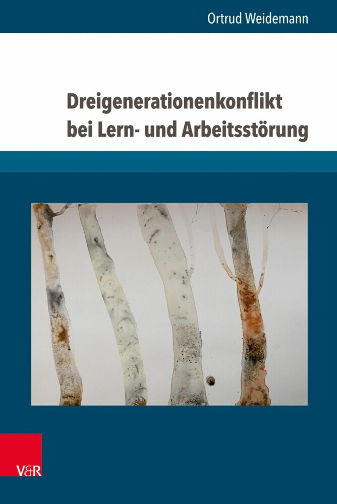 Dreigenerationenkonflikt bei Lern- und Arbeitsstörung main product photo