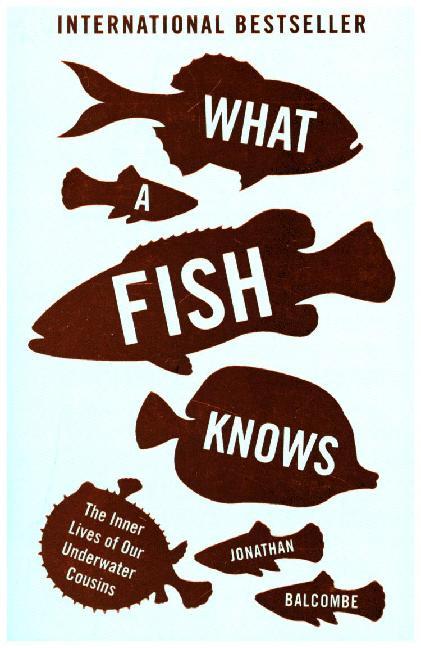 What a Fish Knows main product photo
