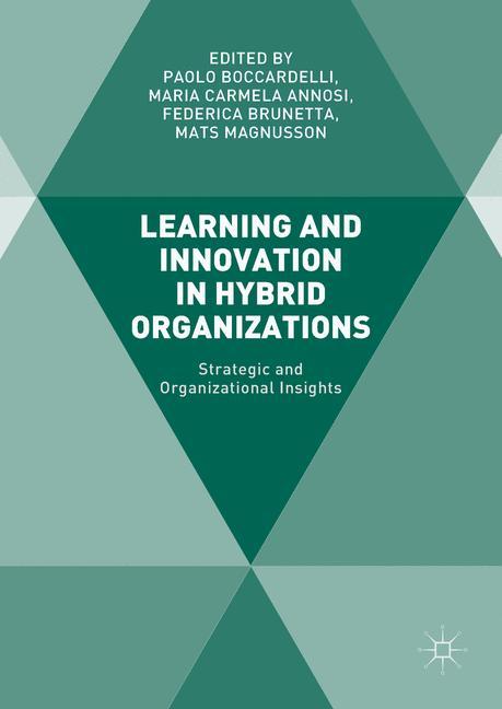 Learning and Innovation in Hybrid Organizations main product photo