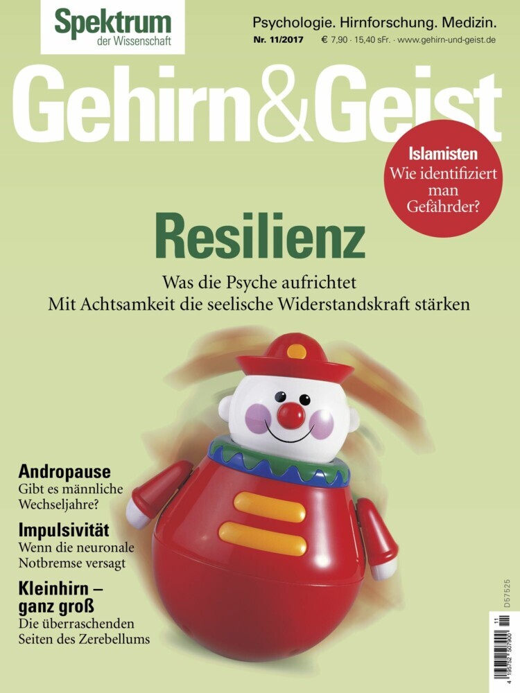 Gehirn&Geist 11/2017 - Resilienz main product photo
