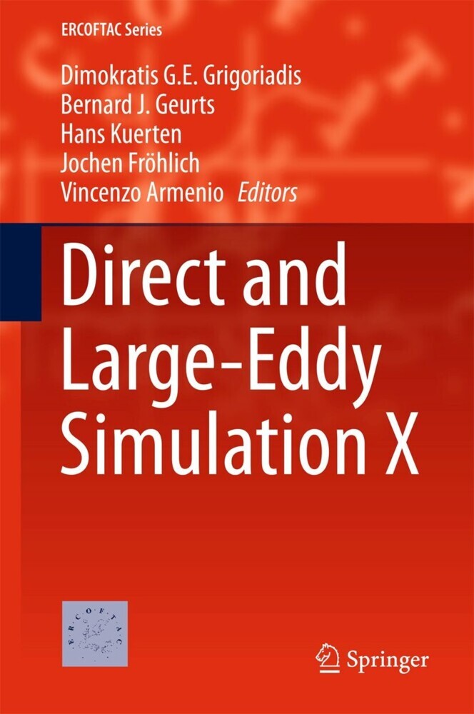 Direct and Large-Eddy Simulation X main product photo