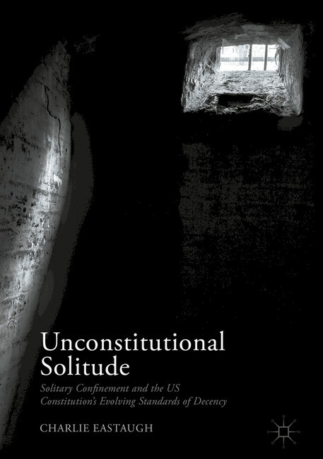 Unconstitutional Solitude main product photo