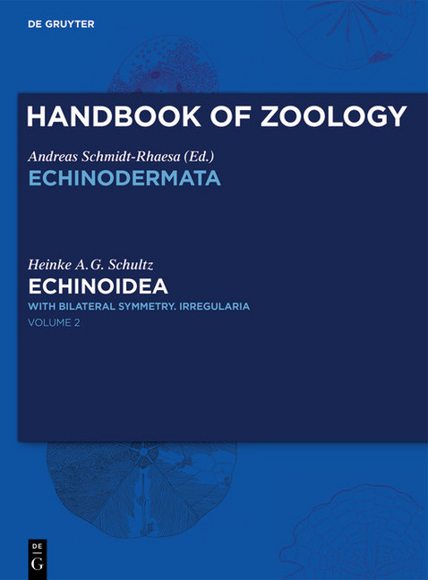 Echinoidea main product photo