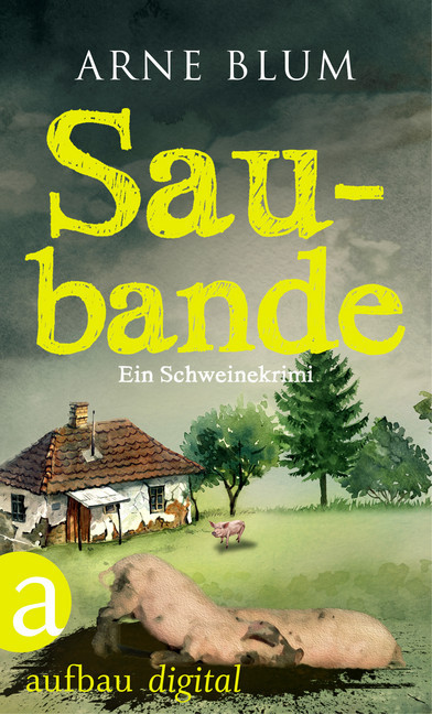Saubande main product photo