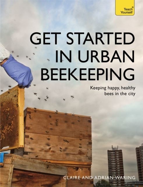 Get Started in Urban Beekeeping main product photo