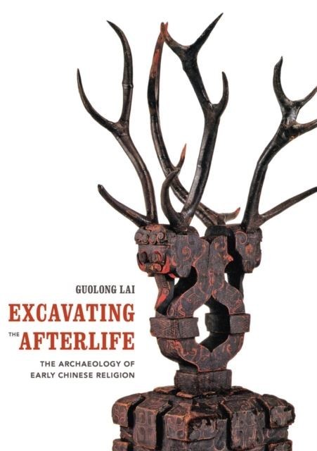 Excavating the Afterlife main product photo