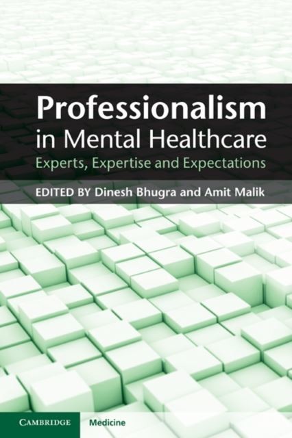 Professionalism in Mental Healthcare main product photo