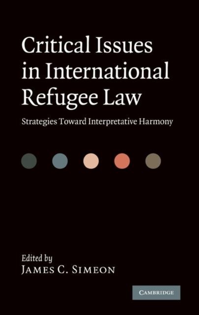 Critical Issues in International Refugee Law main product photo
