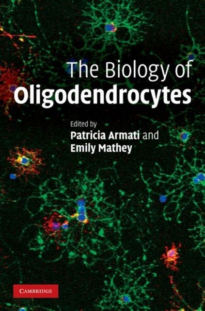 Biology of Oligodendrocytes main product photo