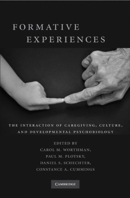 Formative Experiences main product photo
