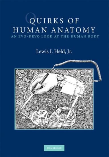 Quirks of Human Anatomy main product photo