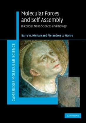 Molecular Forces and Self Assembly
