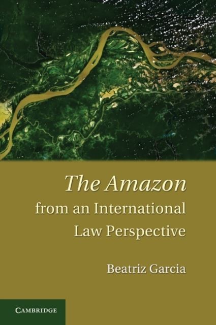 Amazon from an International Law Perspective main product photo