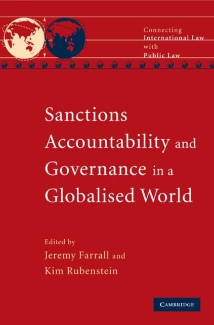 Sanctions, Accountability and Governance in a Globalised World main product photo