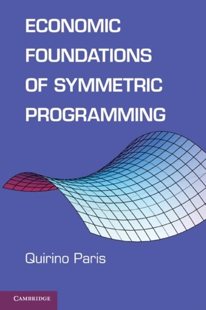 Economic Foundations of Symmetric Programming main product photo