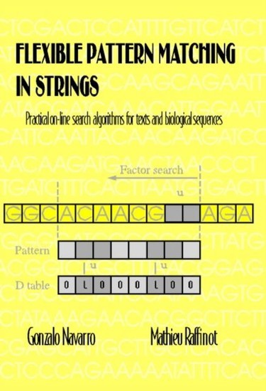Flexible Pattern Matching in Strings main product photo
