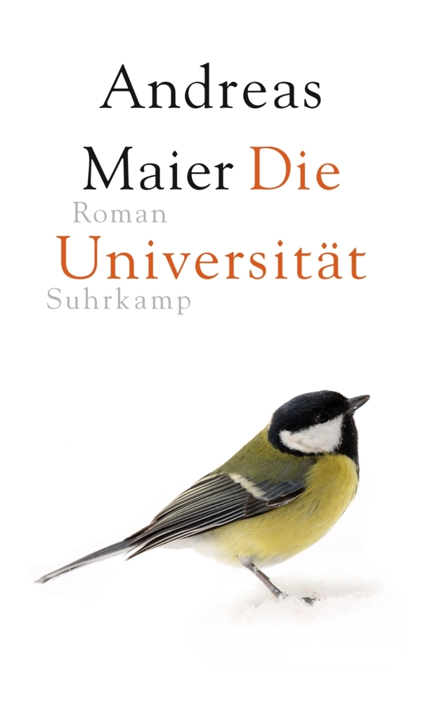 Die Universität main product photo