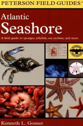 Field Guide to the Atlantic Seashore