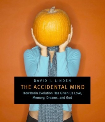 Accidental Mind