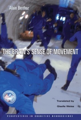 Brain's Sense of Movement