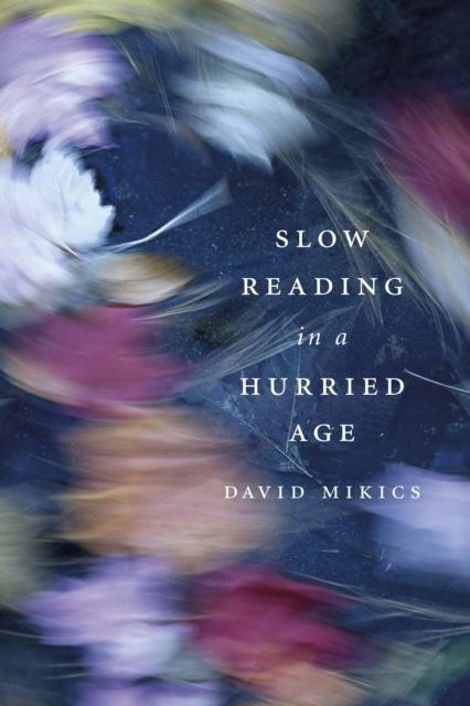 Slow Reading in a Hurried Age main product photo