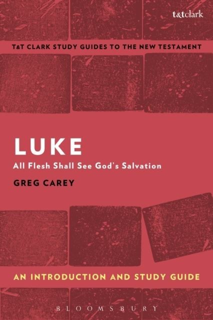 Luke: An Introduction and Study Guide main product photo