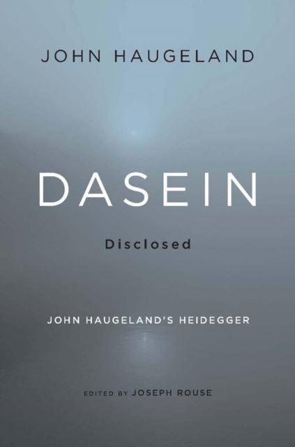 Dasein Disclosed main product photo