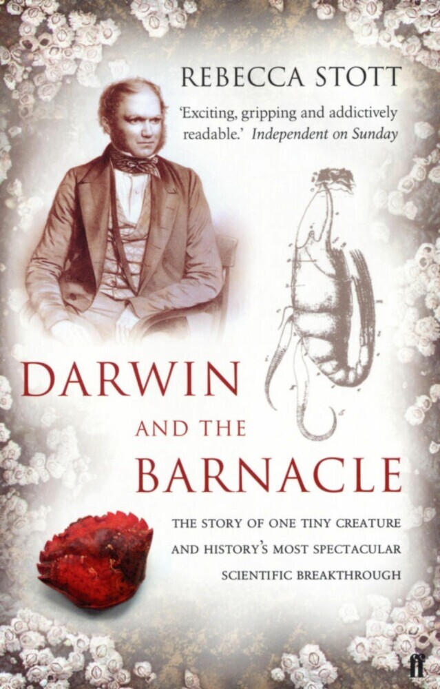 Darwin and the Barnacle main product photo