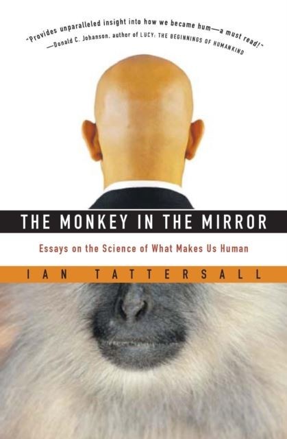 Monkey in the Mirror main product photo