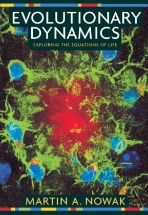 Evolutionary Dynamics