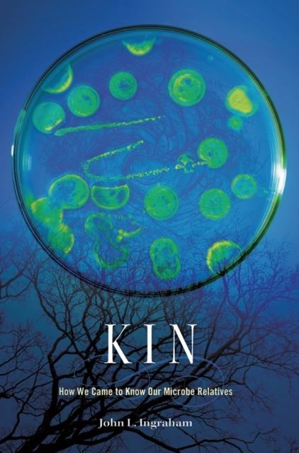 Kin main product photo