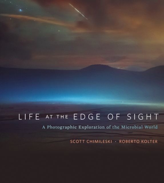 Life at the Edge of Sight main product photo