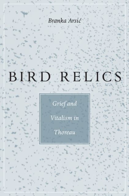 Bird Relics main product photo