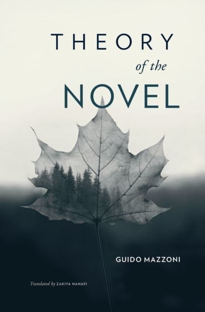 Theory of the Novel main product photo